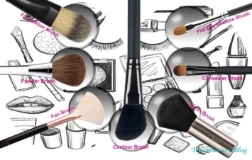 A Comprehensive Makeup Brush Guide for Making You A Pro 2